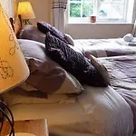 بيت ضيافة Plumpton Court 4*