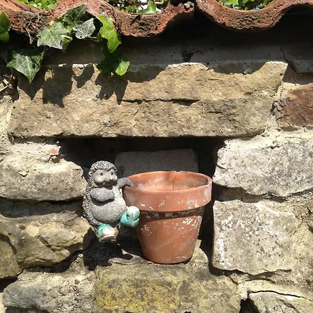 Affittacamere Plumpton Court Nawton